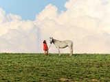 IMG_0209g