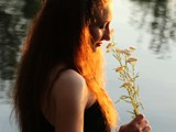 IMG_8395